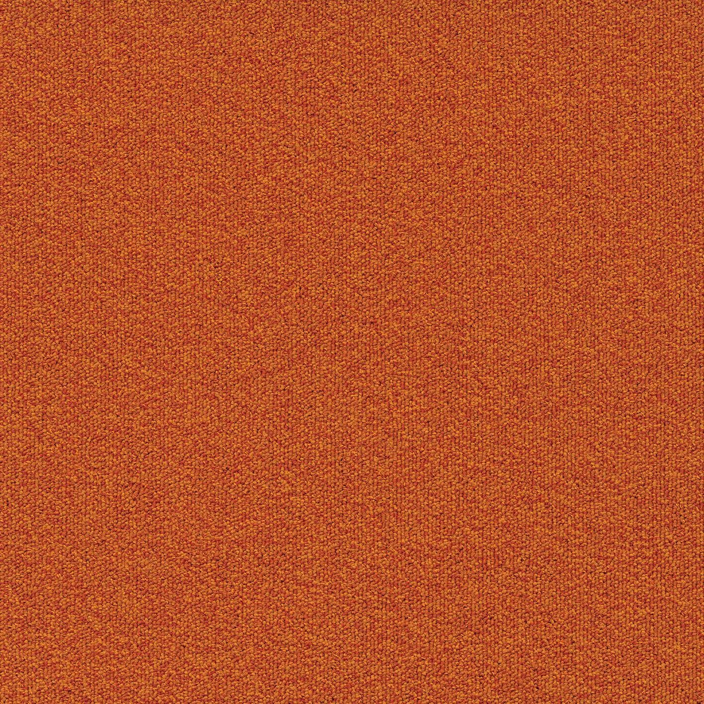 Ковровое покрытие ECONYL® MODULYSS MILLENNIUM NXTGEN ARCH-00079202 - Вид №13