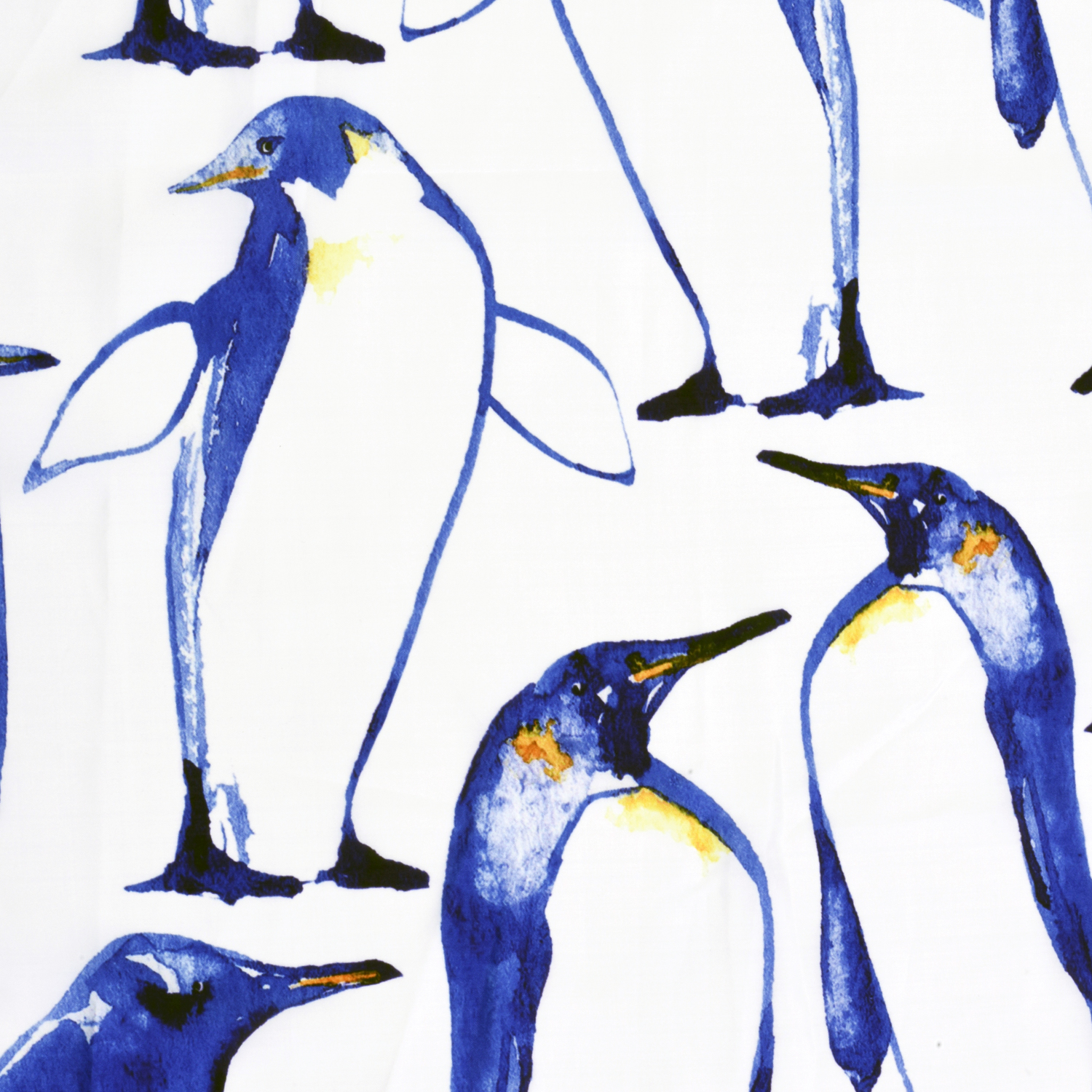 SC-49101 Berkel Шторка для ванной WasserKRAFT  - Вид №5