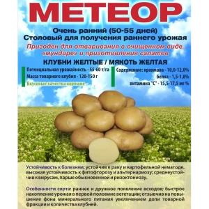 Картофель Метеор Суперэлита 0.25 кг 89413141 STLM-2114542