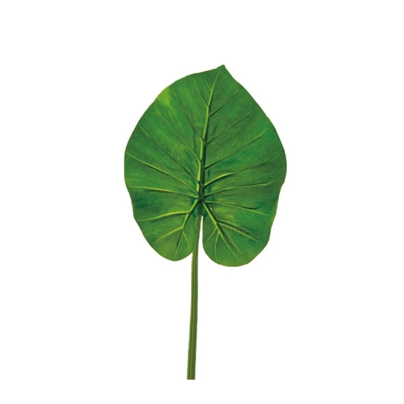 L120X4 Зеленый лист Adriani e Rossi  - Вид №1