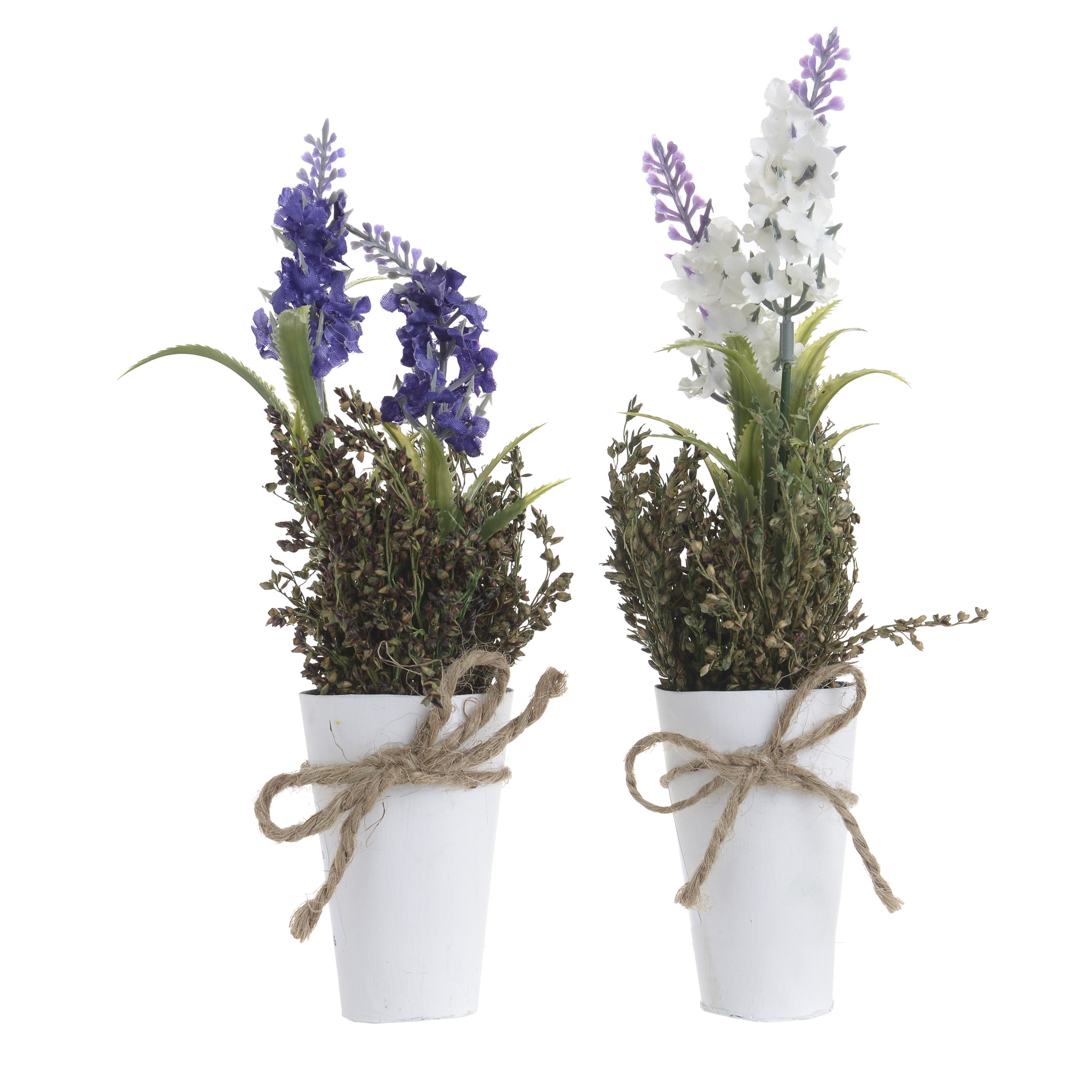 3885475.0181 искусственный цветок в кашпо, 2 дизайна TO4ROOMS  - Вид №1