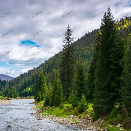 WP02668 Фотообои Verol Фотообои decoline 1х1 м