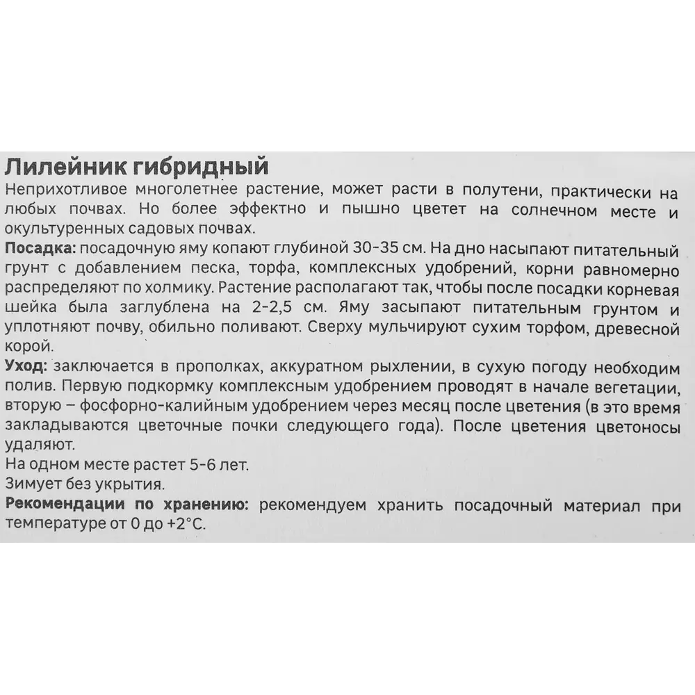 Лилейник Geolia гибридный Пандорас Бокс 86408707 STLM-2104100  - Вид №3