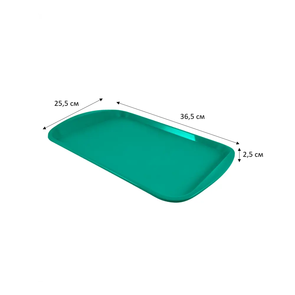 Поднос прямоугольный Delinia 47x33 см полипропилен цвет изумрудный STLM-2181631