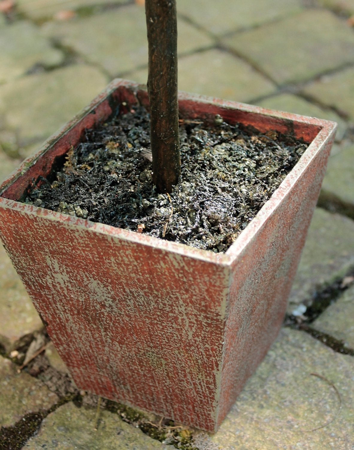 4967 883 a3 Искусственный коробчатый шар, горшок, 55 см, зеленый H-andreas  - Вид №6