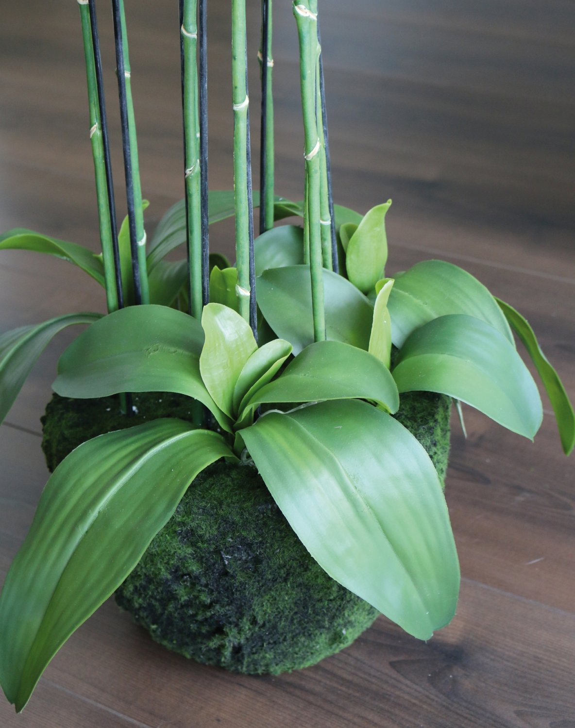 2860 777 a3 Пластиковая орхидея Phalaenopsis с 'почвой', 9-кратная, 120 см, real touch, белая H-andreas  - Вид №17