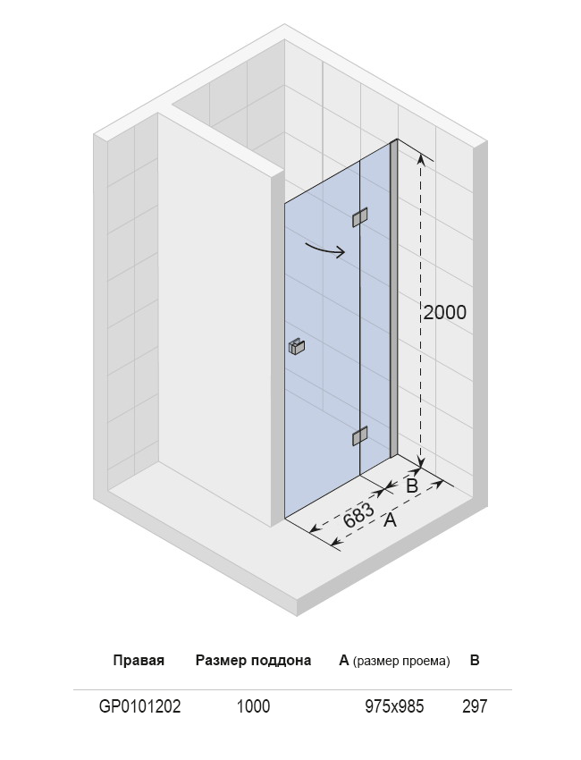 GP0101201 Душевая дверь Riho Polar Santreyd - Вид №3