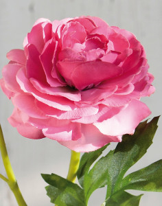 2450 515 a3 Лютик шелковый, 1 цветок, 1 бутон, 32 см, розовый H-andreas