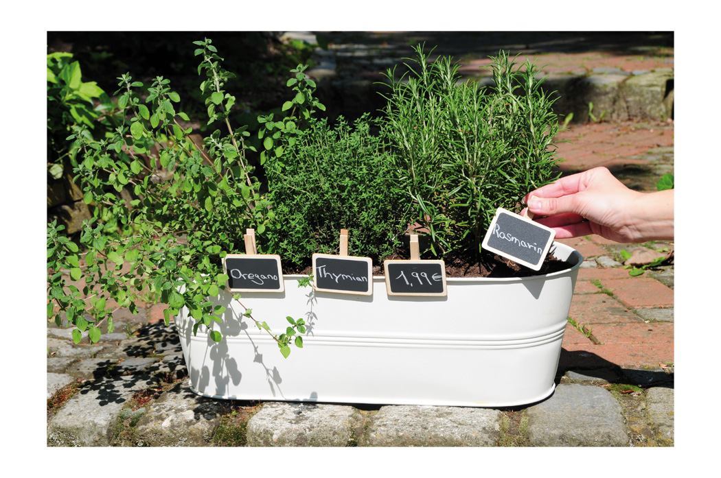 753307 Деревянная таблетка Buerstenwelt  - Вид №1