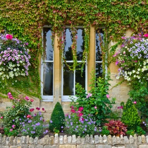 D1-003 Фотообои DIVINO Collection D 2.7х3 м