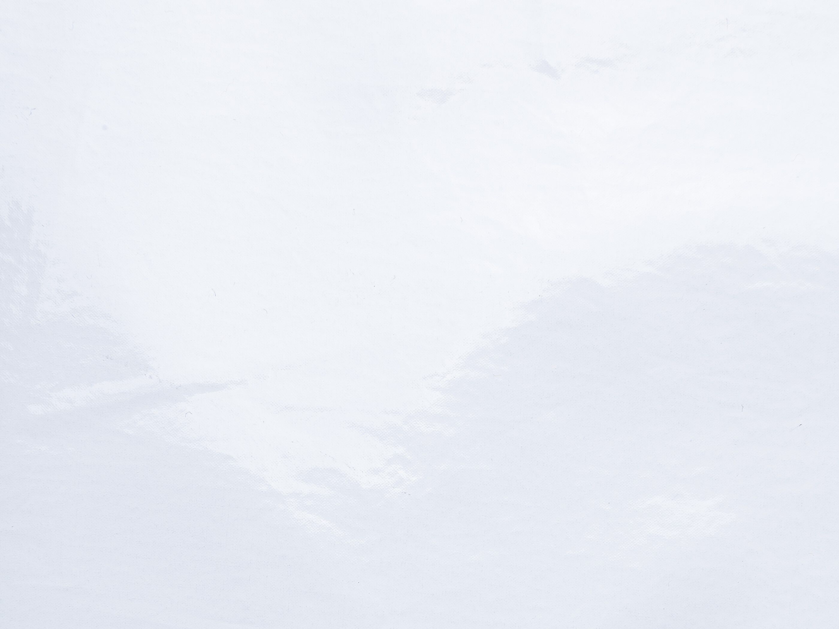 Хлопок сплошной цвет ткани The House of Lyria INCISORE ARCH-00140313 - Вид №1