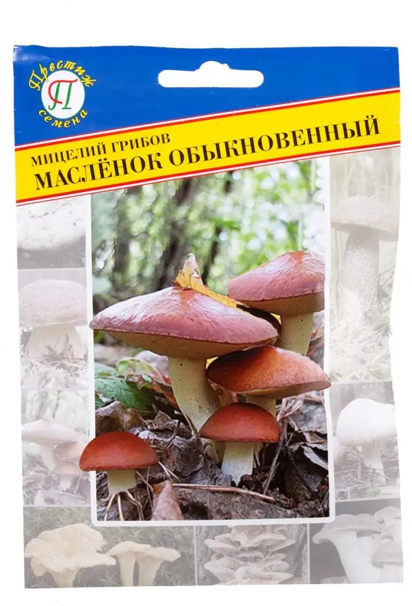 17301791 Семена Гриб маслёнок обыкновенный STLM-0960438