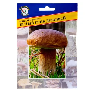Семена Гриб белый «Дубовый»