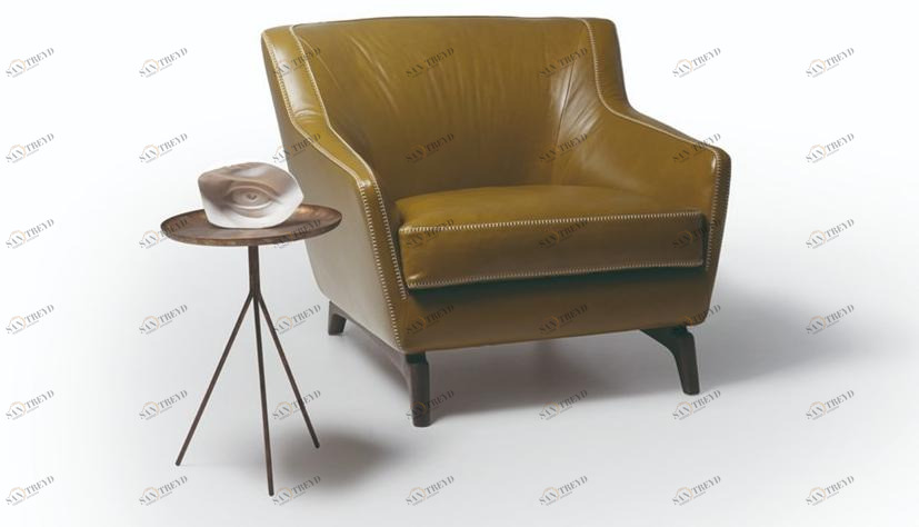 Vibieffe Кресло из кожи или ткани с подлокотниками 575 hi_story sun-id-1439226