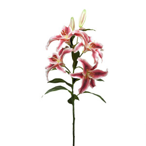 210307,5 ABHIKA ЛИЛИЙ ТИГР X5 PINK