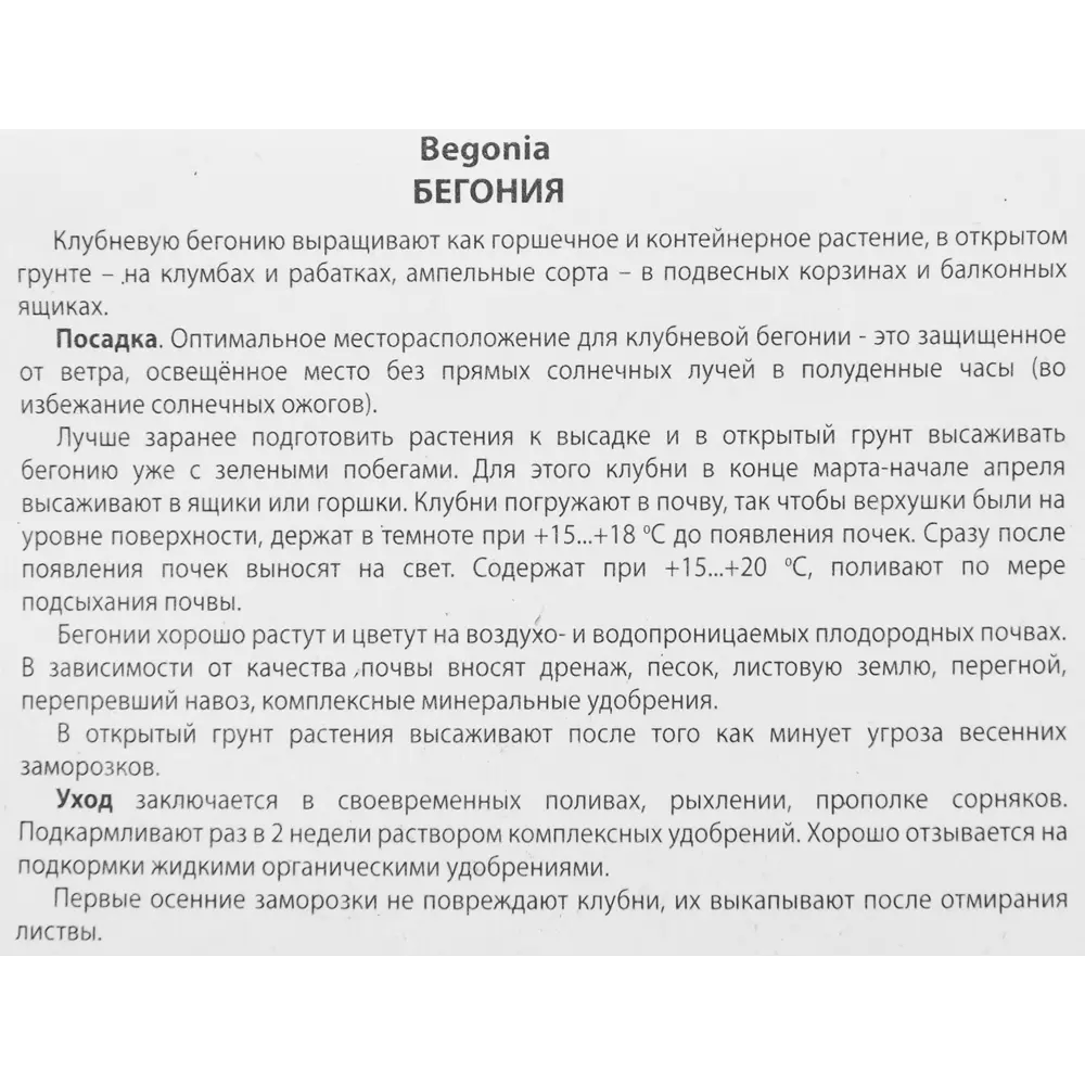 Бегония бахромчатая Скарлет, 2 шт ПОИСК STLM-2195891 - Вид №2