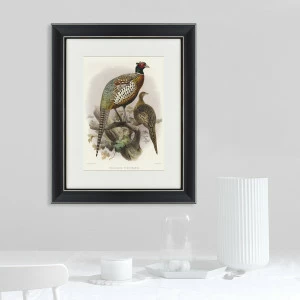 Литография на тонированной бумаге 42х52 см "Китайский кольчатый фазан, литография, 1835г" КАРТИНЫ В КВАРТИРУ  093800 Бежевый;белый;черный;разноцветный