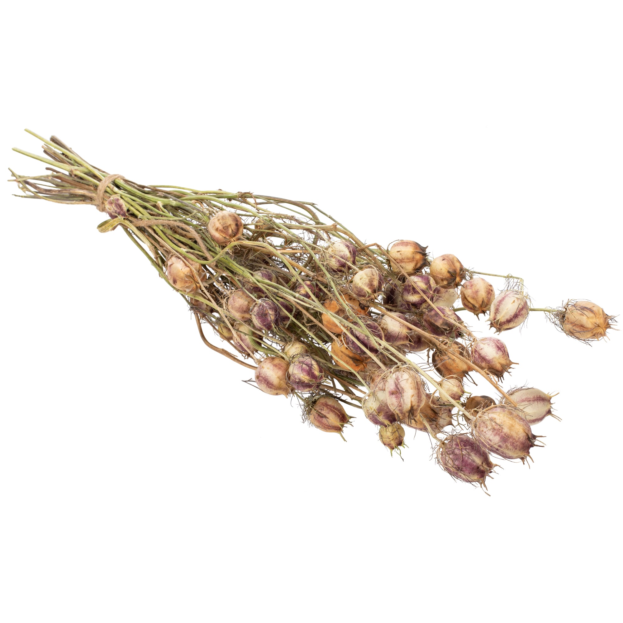 89896958 Букет Нигелла земляничная h53 см Santreyd 