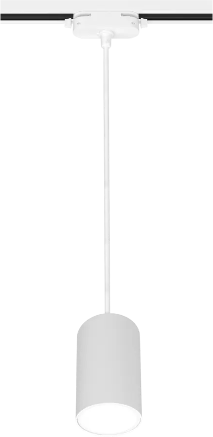 Трековый светильник Ritter Artline с регулируемым плафоном 84846921