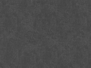 COLORISTICA 2586-61 Портьерная ткань  Лён  City