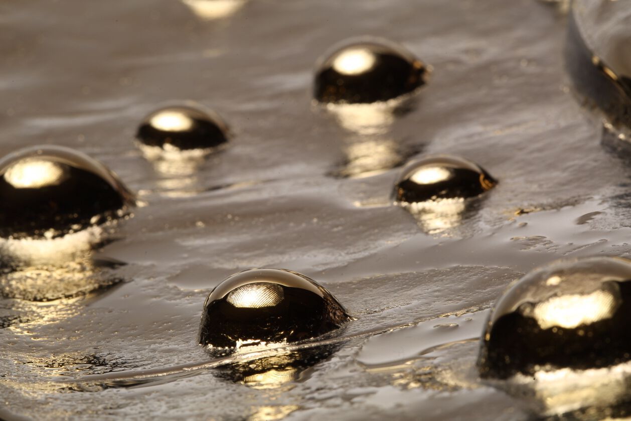 Декоративный предмет стеклянной стены PlusObject GOLD FISH ARCH-00085748 - Вид №4