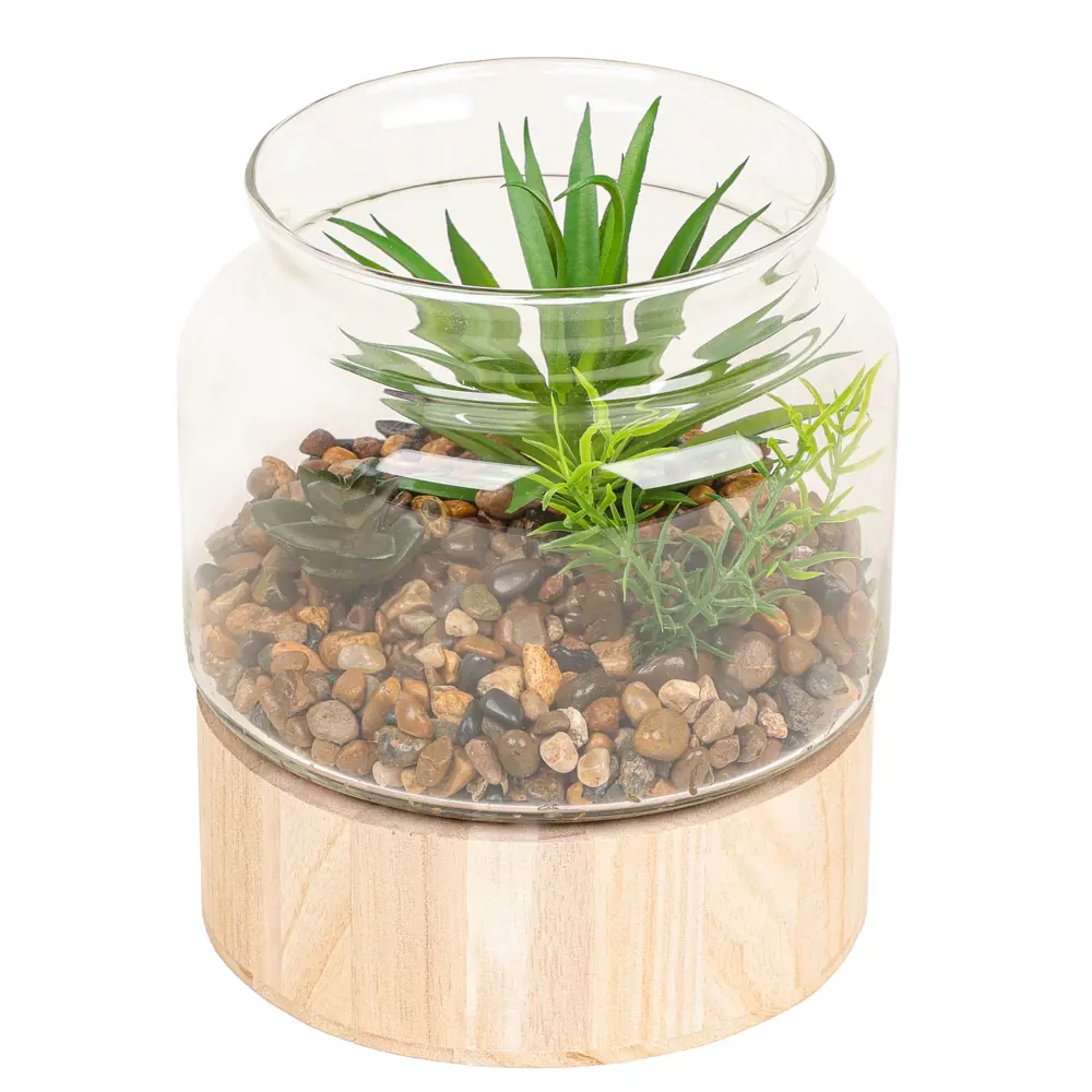 Декоративное растение Dream River в стеклянном горшке 17.5 см 89432357 STLM-1568177 - Вид №1