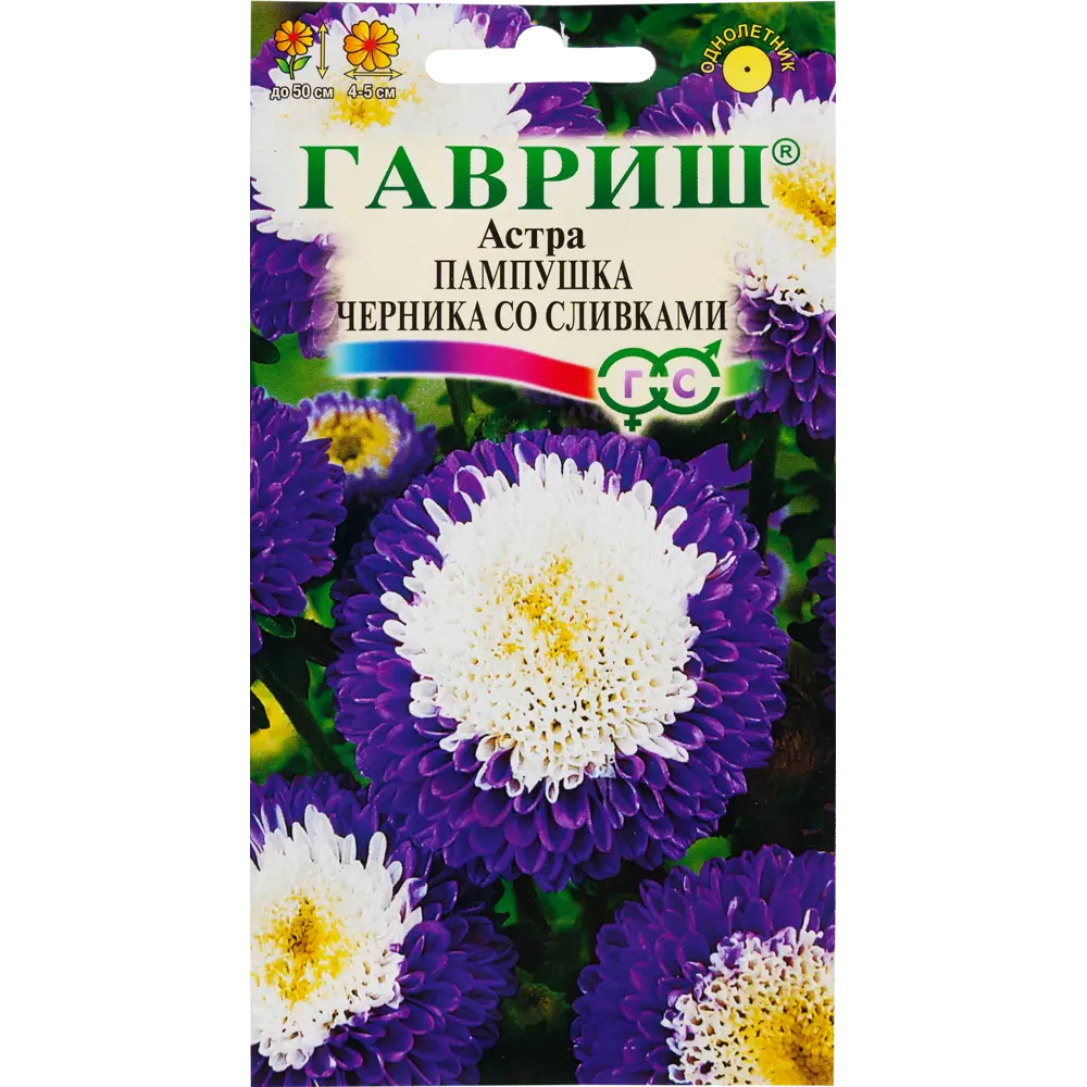 ГАВРИШ Астра «Пампушка Черника со сливками» — бархатные цветы для сада 82097827 STLM-1583108