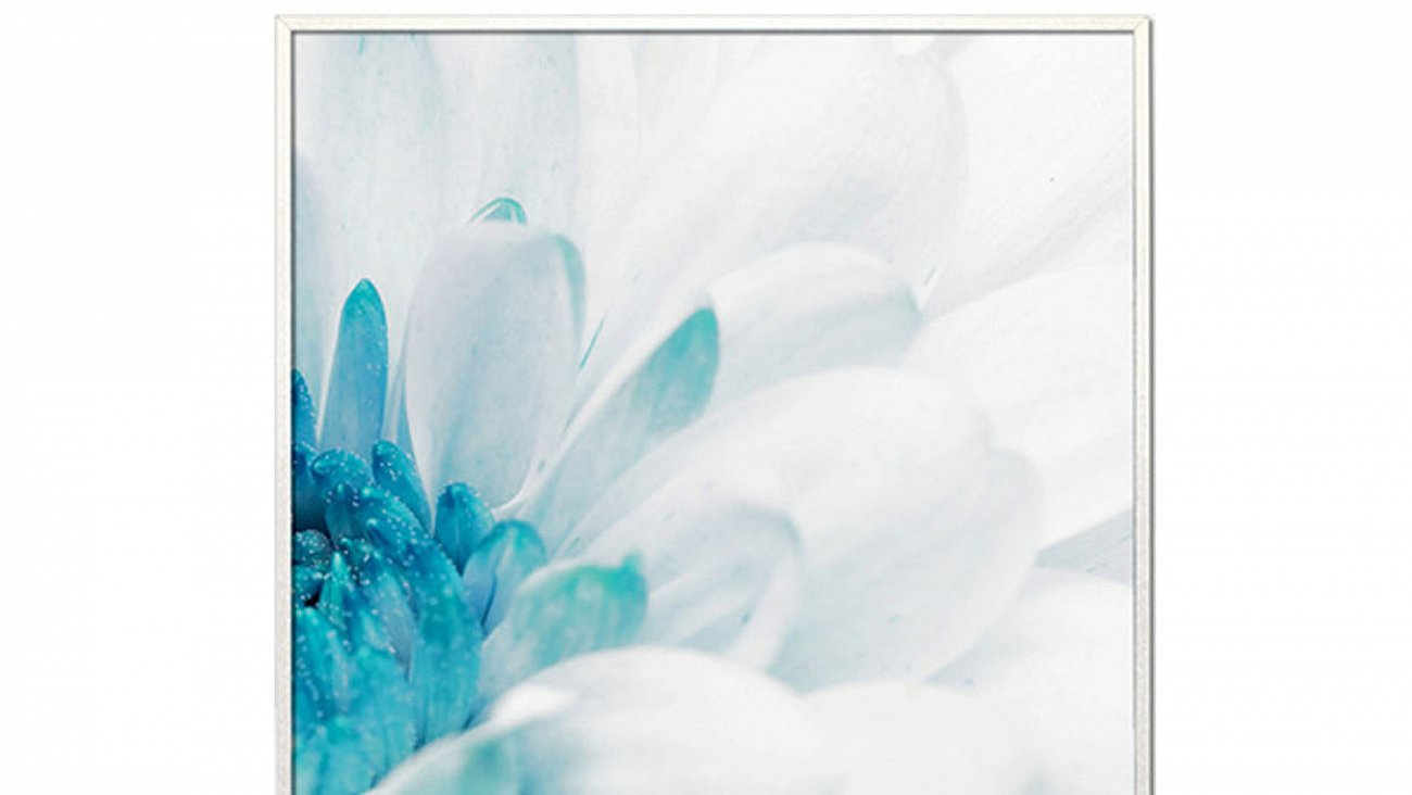 Постер прямоугольный на художественной бумаге 80х60 см "Красивая хризантема-2" EVENHOME ДИЗАЙНЕРСКИЕ 00-3878787 Белый;голубой  - Вид №1