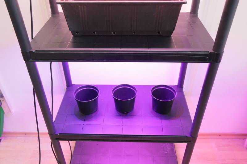 1913 Стеллаж универсальный 143*90*40 для рассады или цветов LAB.Space  - Вид №3