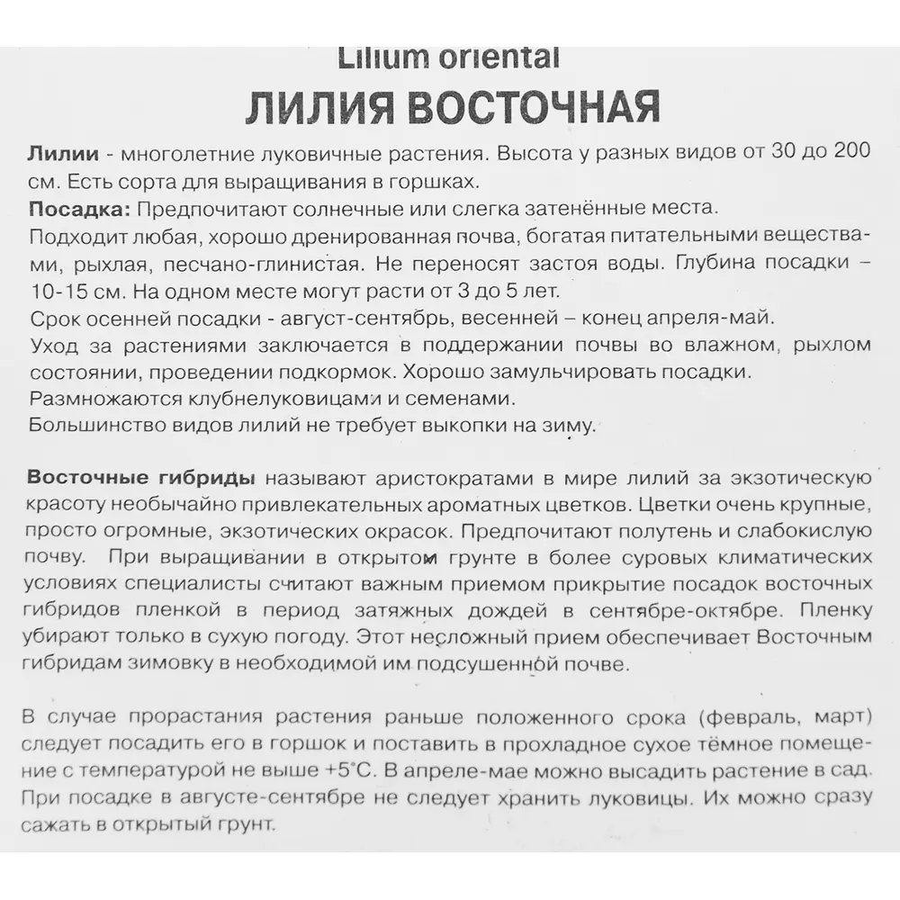 Лилия восточная махровая Брокет Харт 86410099 STLM-2142033 ПОИСК  - Вид №2