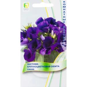 ПОИСК Эустома «Сюита» синяя — компактный цветущий акцент для кашпо 82424774