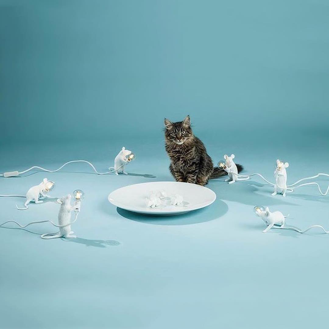 Seletti 14885 sitting MOUSE лампа настольная мышь с лампочкой 112071 - Вид №4