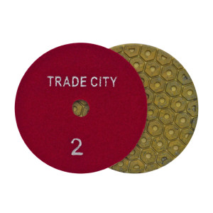 90605442 Шлифовальный круг алмазный гибкий №2 13-G41002, 100 мм STLM-0303661 TRADECITY