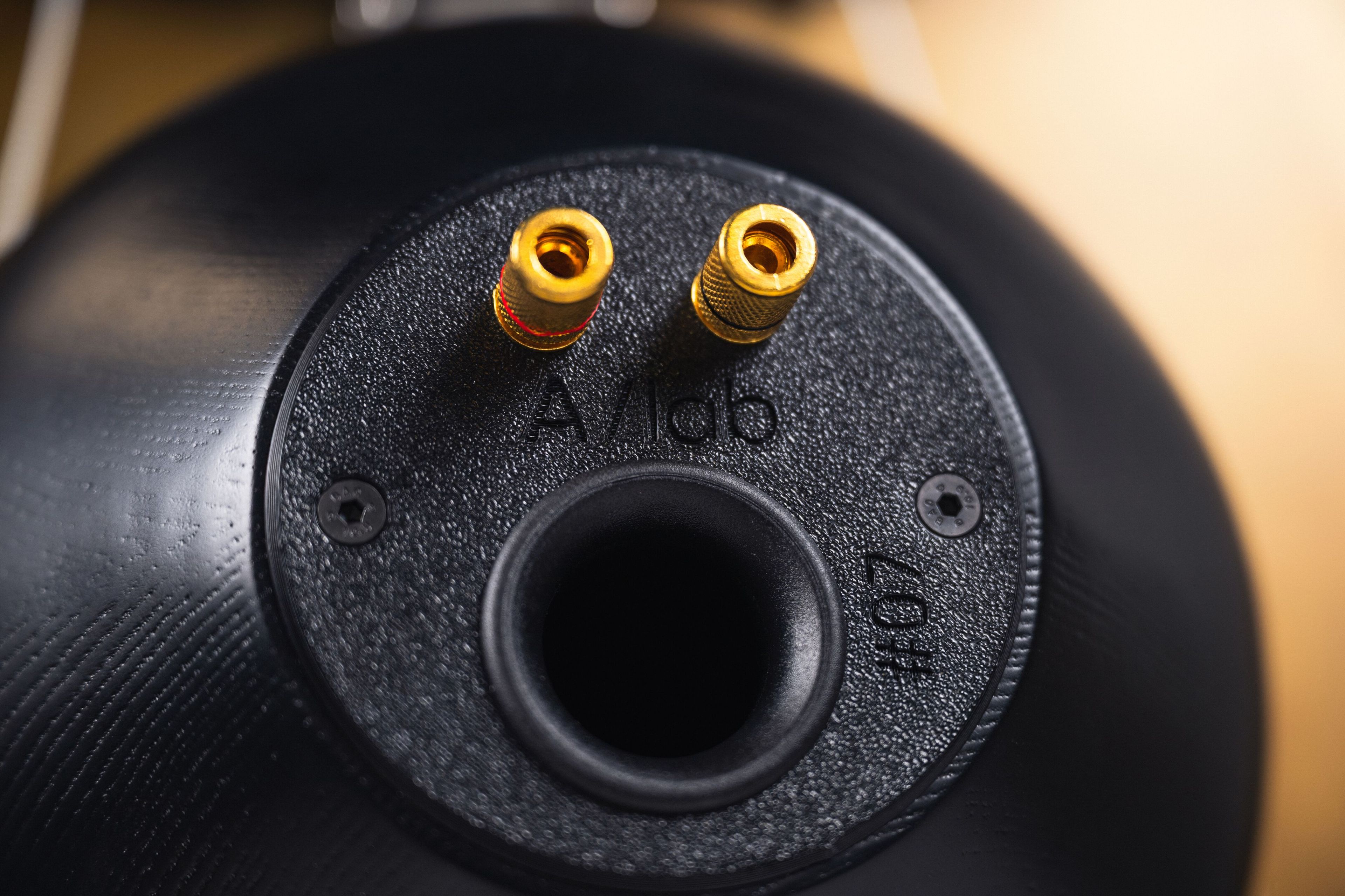 Травление железа акустический диффузор ArmoniusLab SATURNIA FLYING ARCH-00066166 - Вид №1