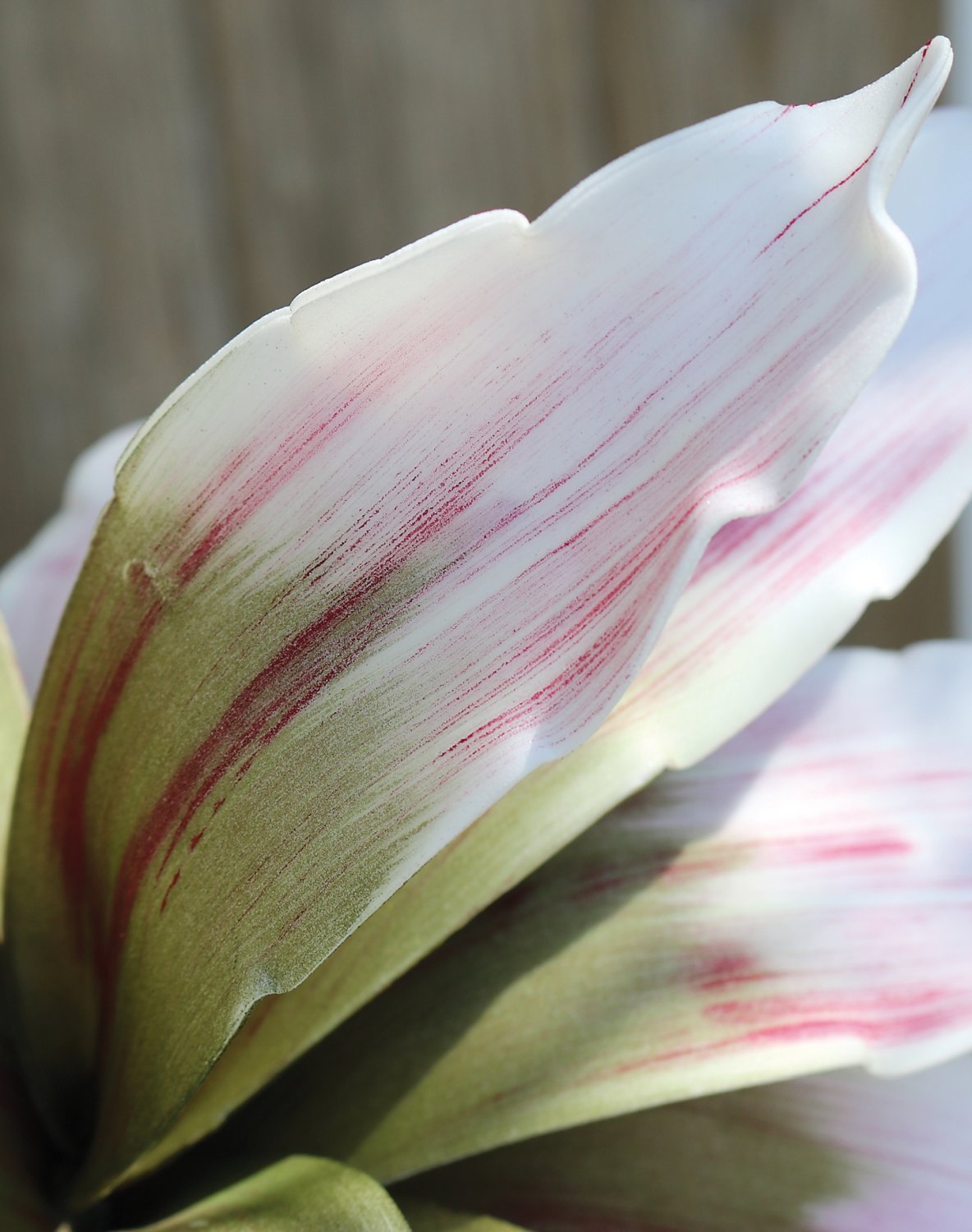 Искусственный мягкий цветок агавы, 90 см, розово-зеленый Santreyd 7955 508 a3