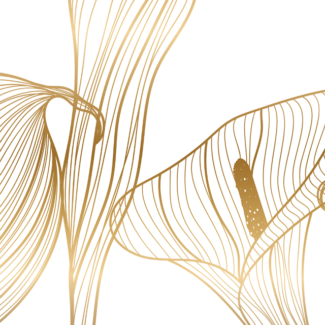 Стеновые панели - Голденкейс LIGRON LIST84 2321