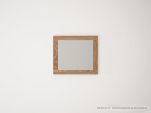 568_1232 Зеркало Karpenter MAX