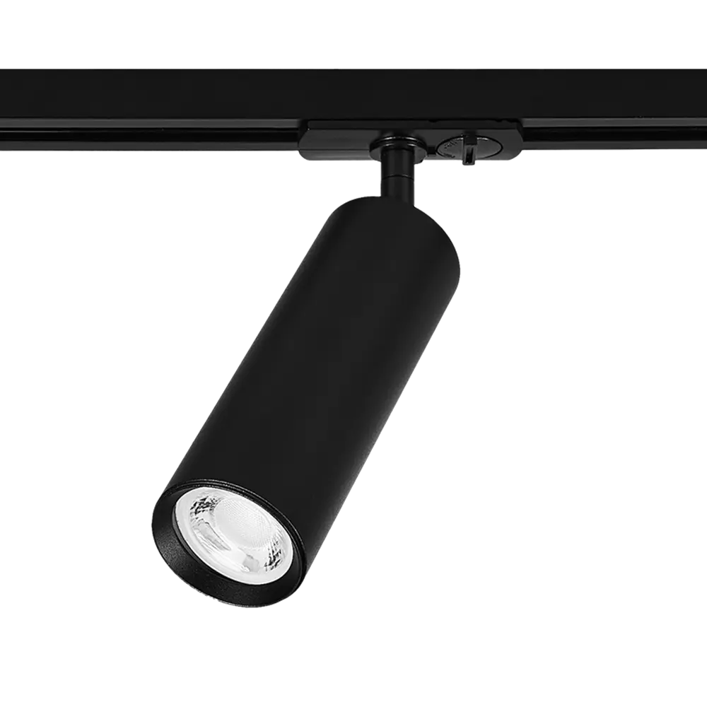 Arte Lamp Beid - трековый светильник с поворотным плафоном 87493354 STLM-0074139