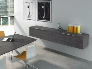 RENZ Офисный шкаф из дерева Site