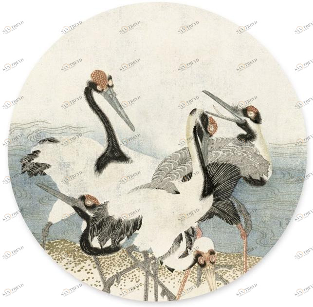 Groovy Magnets Клейкое виниловое украшение  St-60-ja-cr 