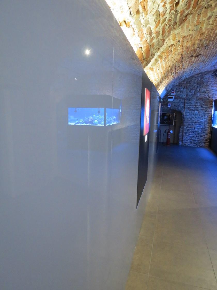 GammaStone Стеклянная панель Gammastone glass air sun-id-1459280 - Вид №3