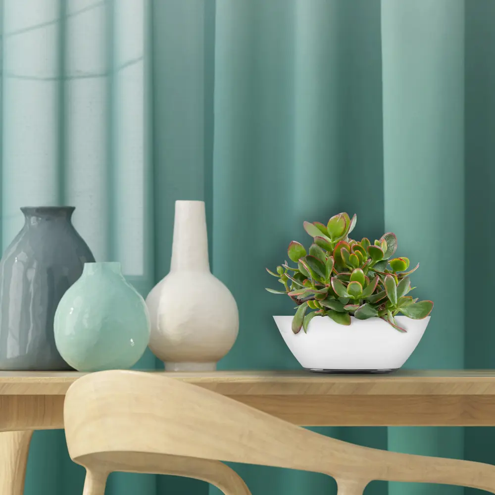 Santreyd Кашпо Лодочка с поддоном для комнатных растений 18008924 STLM-0009219 - Вид №3