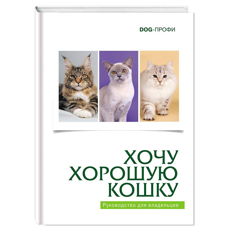 ПР0042088 Книга "Хочу хорошую кошку" Н. Самойлова, Н. Ришина DOG-ПРОФИ 