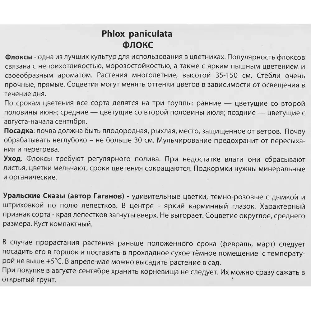 Флокс метельчатый Уральские сказы 89351891 STLM-2141126 ПОИСК  - Вид №2