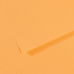 200321673 Бумага для пастели Mi-Teintes 160 г/м2 А4 21 х 29.7 см лист №470 кукурузный Canson