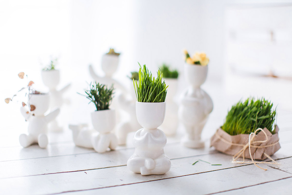 Набор для выращивания eco "Йог" ЭКОЧЕЛОВЕКИ  254571 Белый  - Вид №4