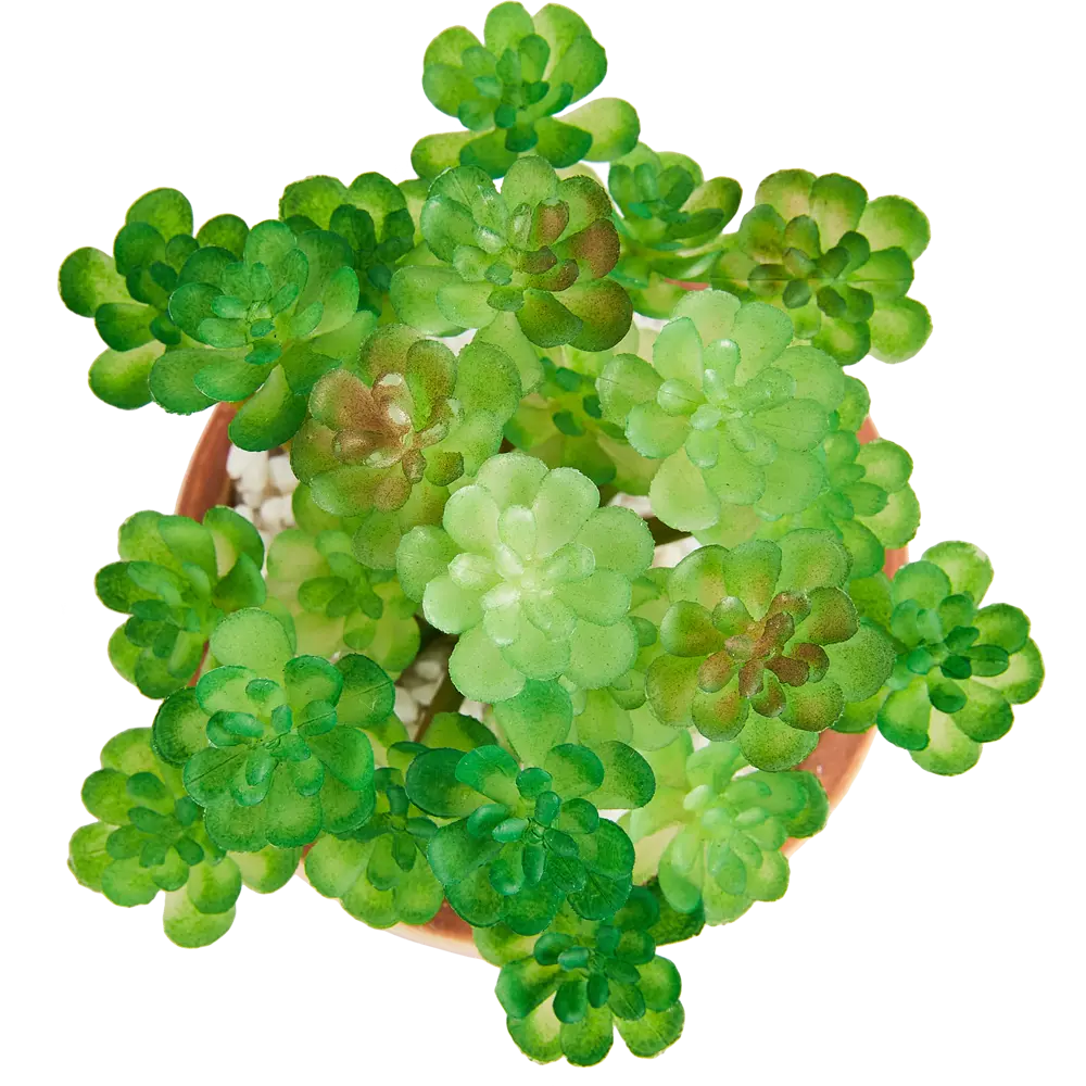 89005819 Искусственное растение Stripe 3 8x13 см полиэстер цвет разноцветный STLM-0817266 Santreyd  - Вид №1