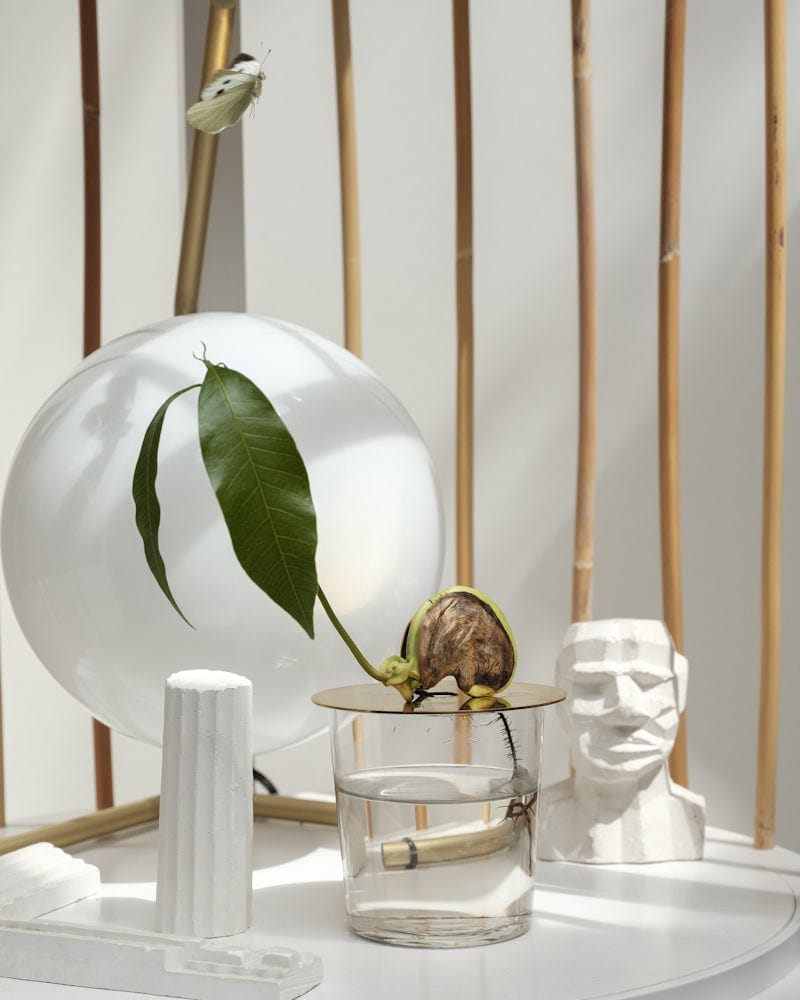 Набор аксессуаров из латуни для растений Michael Anastassiades FLOATING FOREST ARCH-00094864 - Вид №10