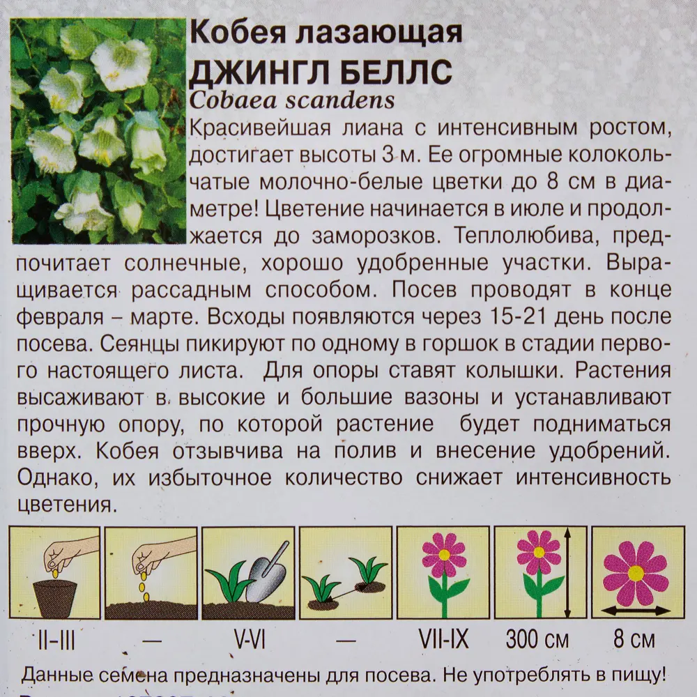 Кобея «Джингл Беллс» h10, 5 шт., Чудный балкон ГАВРИШ STLM-2113596 - Вид №2