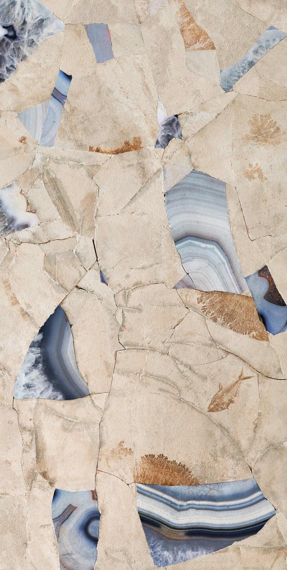 Декоративная панель из алюминия, стекла или ПММА Tecnografica окаменелости ARCH-00044763 - Вид №1